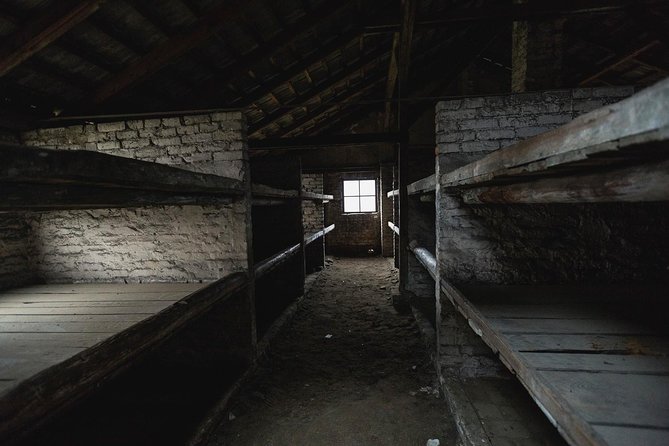 Auschwitz-Birkenau & Wieliczka in one day (Guided tour) - Who this Auschwitz and Wieliczka combo is best for