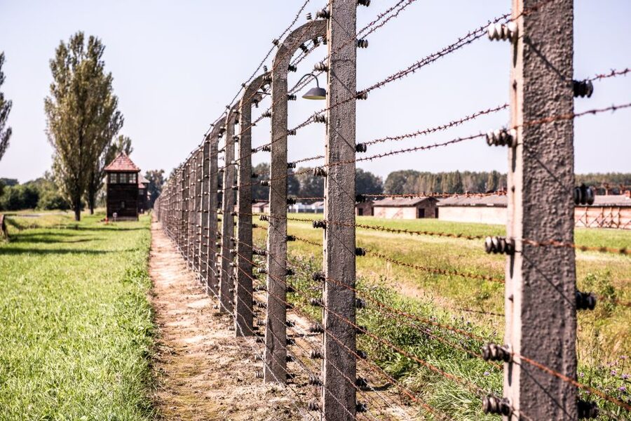 Auschwitz Ticket and Full-Day Tour from Krakow - Should you book the Auschwitz Ticket and Full-Day Tour from Krakow?