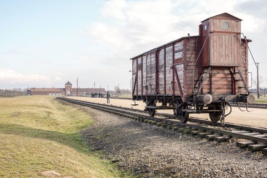 Auschwitz Ticket and Full-Day Tour from Krakow - Auschwitz II-Birkenau: outdoors, extermination remains, and hearing the story