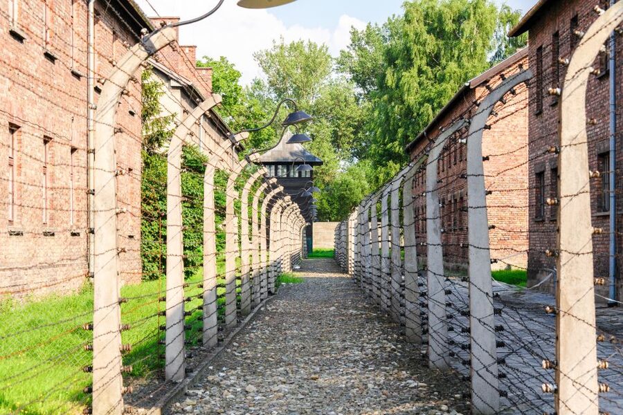 Auschwitz Ticket and Full-Day Tour from Krakow - What to bring: ID checks, bag rules, and how to stay comfortable