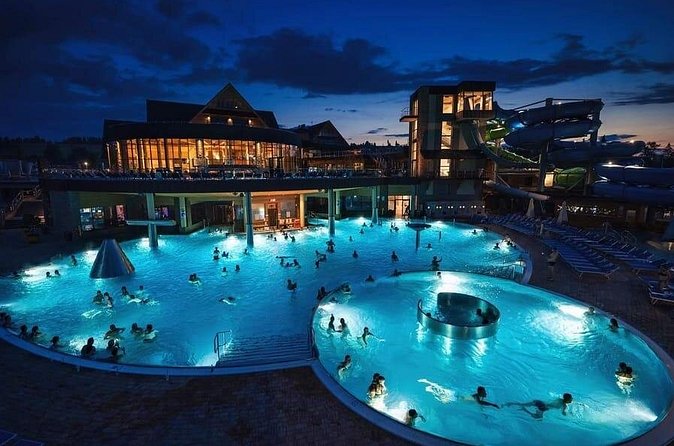 Chochołowskie Thermal Baths Skip-the-Line Entry with Host - The swim-up bar vibe: easy fun, not just soaking