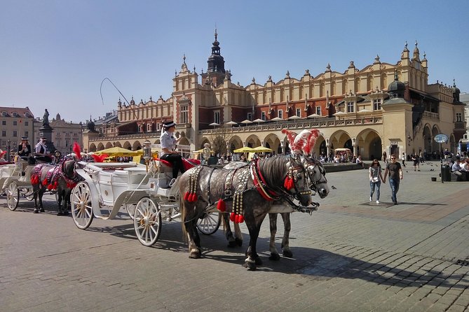 City Tour by electric car- Krakow - Price and Value: $206.35 per Group for 3 Hours