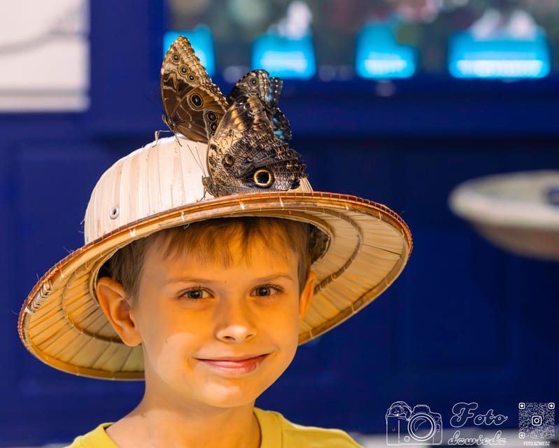 Cracow: 4 Mazes and Living Butterfly Museum Entry Ticket - Key points to know before you go