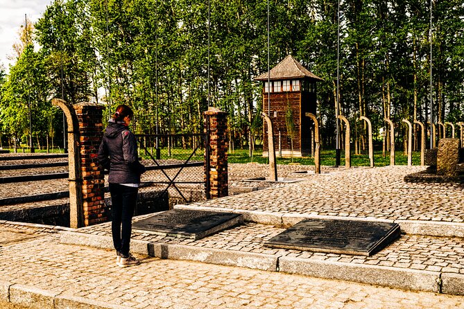 Day Tour to Auschwitz Birkenau Museum with Transportation - Group size and why it matters more than you think