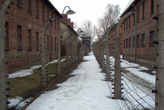 Exclusive Small Group Auschwitz-Birkenau Guided Tour from Krakow - Birkenau Experience: Ramps, Watchtowers, and the Scale of the System