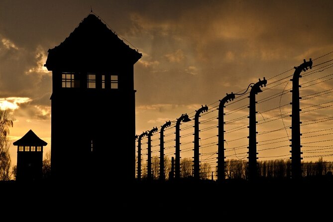 Exclusive Small Group Auschwitz-Birkenau Guided Tour from Krakow - Comfort Rules: Dress Code, ID, and Staying Within the Museum Rules
