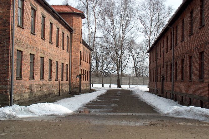 Exclusive Small Group Auschwitz-Birkenau Guided Tour from Krakow - Getting There: Van Transfer and Early Morning Reality