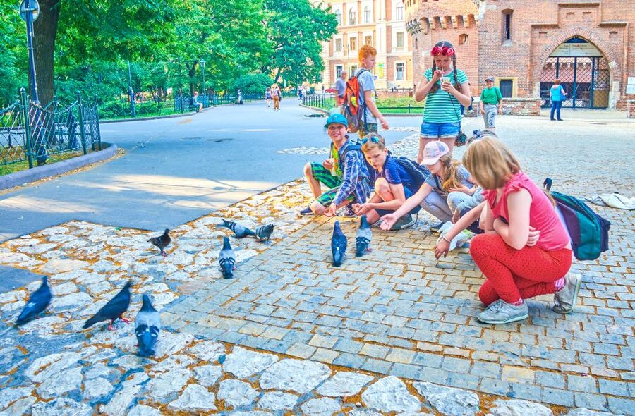Family Tour of Krakow Old Town with Sweets Factory & Cruise - Krakow Old Town, but tuned for families
