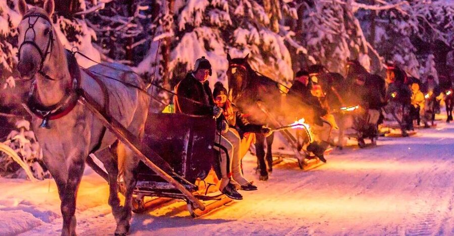 Fram Kraków: Tatra Mountain Sleigh Ride in Zakopane - Key things you’ll notice right away