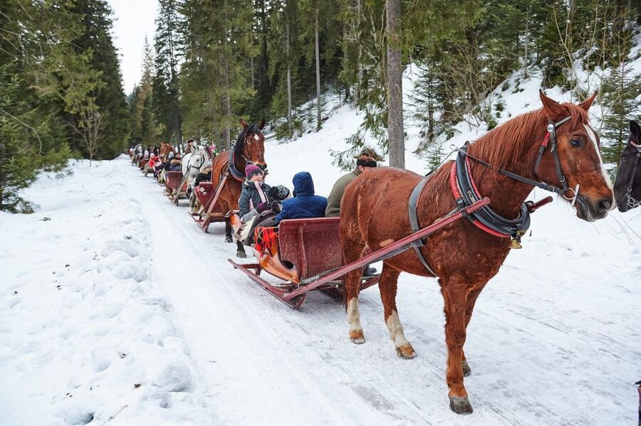 Fram Kraków: Tatra Mountain Sleigh Ride in Zakopane - Kraków to Zakopane: a long winter day, planned around time