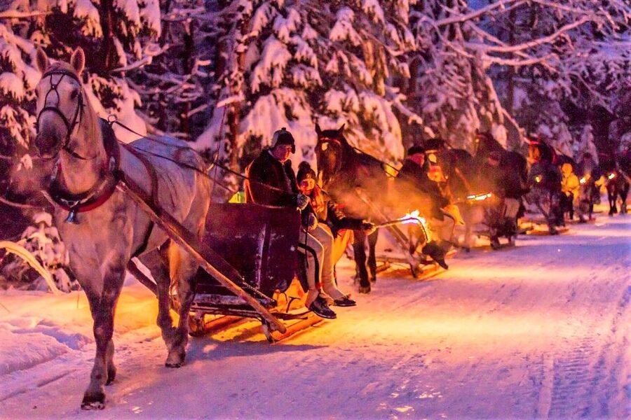 Fram Kraków: Tatra Mountain Sleigh Ride in Zakopane - Chochołowska Valley on a real highland sleigh: peace, silence, and bells