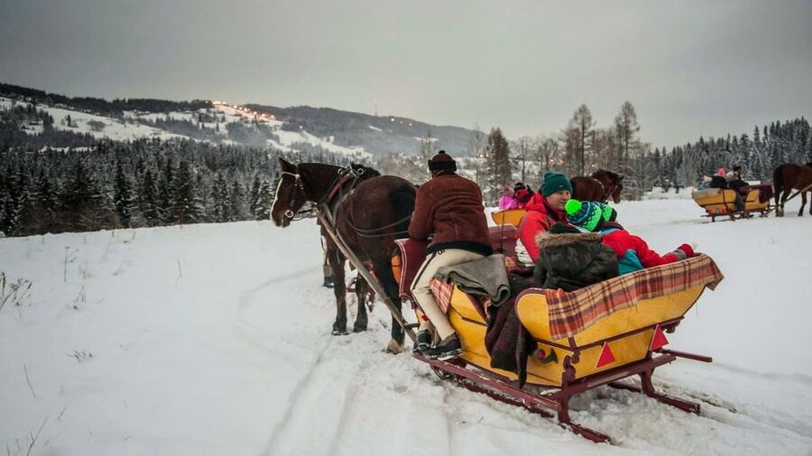 Fram Kraków: Tatra Mountain Sleigh Ride in Zakopane - Highlander’s Gazebo: hot tea, roast sausage, and a menu that actually fills you