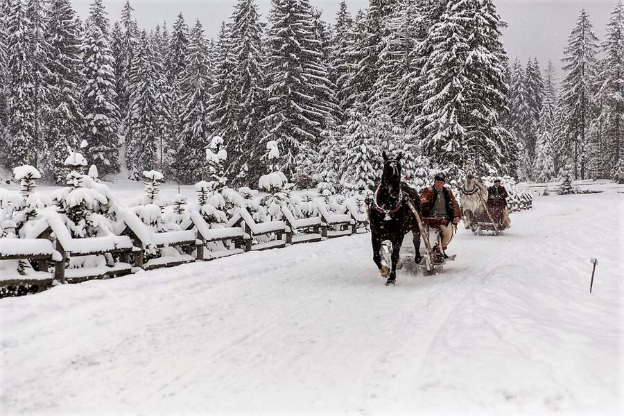 Fram Kraków: Tatra Mountain Sleigh Ride in Zakopane - National park entrance: why it matters for what you see