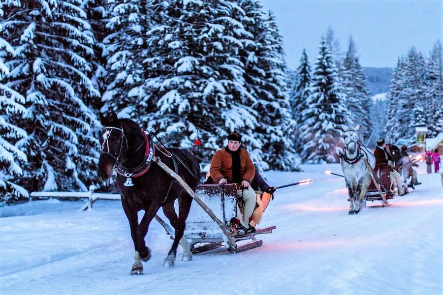 Fram Kraków: Tatra Mountain Sleigh Ride in Zakopane - Should you book the Fram Kraków Tatra Mountain sleigh ride?