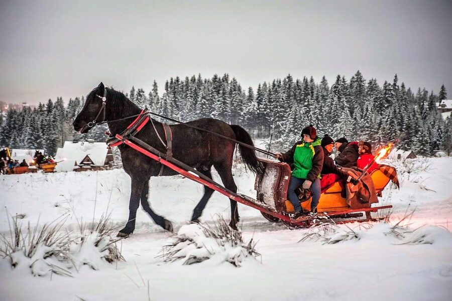 Fram Kraków: Tatra Mountain Sleigh Ride in Zakopane - Zakopane promenade stroll and Holy Family Church: short stops with character