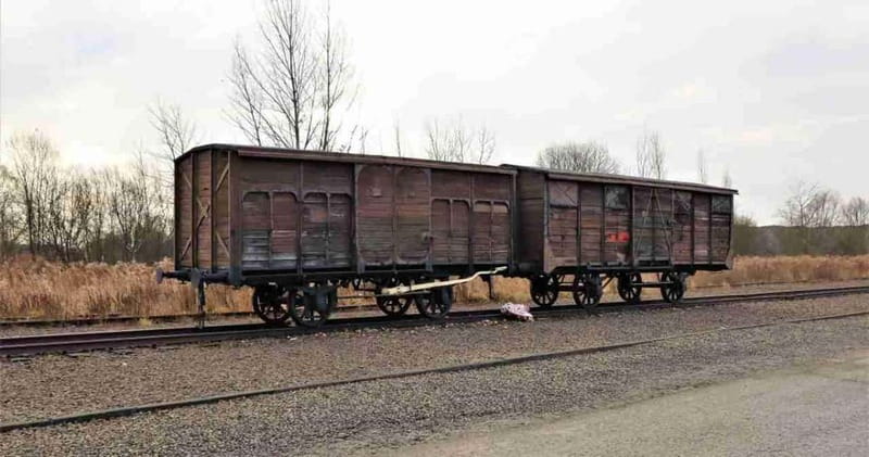 From Kracow: Auschwitz Complex Alternative Tour - Bunker 1 Red House, Bunker 2 White House, and the extermination zone