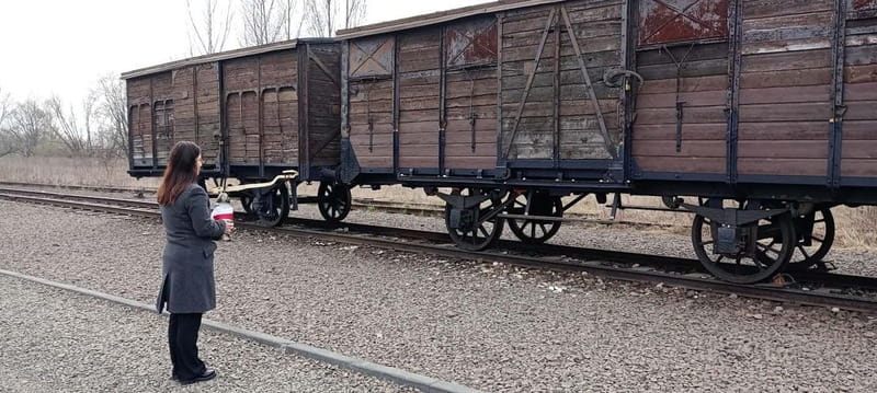 From Kracow: Auschwitz Complex Alternative Tour - Price and what you actually get for $55