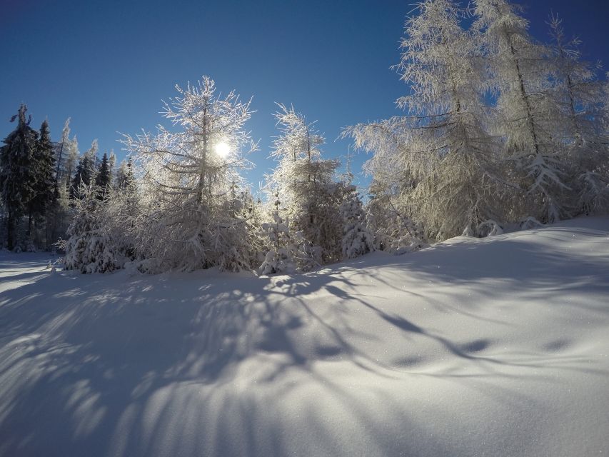 From Krakow: 3-Hour Skiing Experience Suitable for Beginners - Siepraw Ski Complex: the easy win for winter time near Krakow