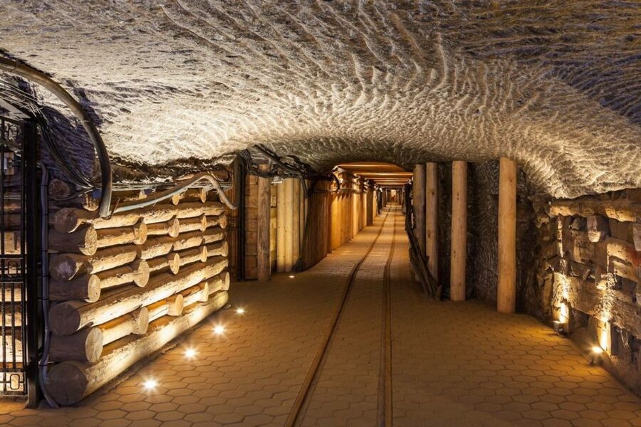 From Krakow: Auschwitz Birkenau and Salt Mine Guided Tour - Skip-the-line at Auschwitz: what it changes for your day