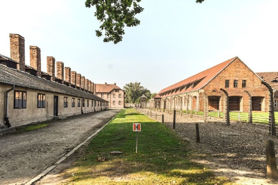 From Krakow: Auschwitz Birkenau and Salt Mine Guided Tour - Pickup and meeting point: start the day without stress