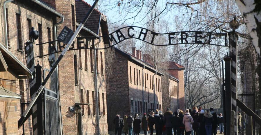 From Krakow: Auschwitz-Birkenau and Self-Guided Day Tour - Getting to the Camps: Bus Ride, Pickups, and the Day’s Rhythm