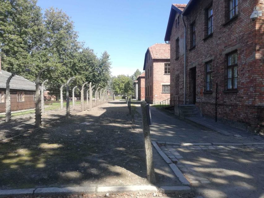 From Krakow: Auschwitz-Birkenau and Self-Guided Day Tour - Tickets, Brochures, and How the Assistance Works
