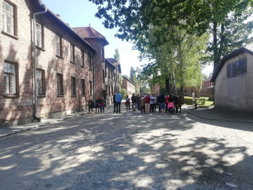 From Krakow: Auschwitz-Birkenau and Self-Guided Day Tour - Price and Logistics: Is This Worth About $21?