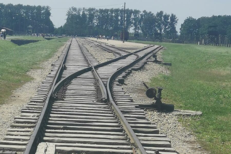 From Krakow: Auschwitz-Birkenau Camp Complex Guided Day Trip - Price and value: is $83 a good deal for this Auschwitz-Birkenau day trip?