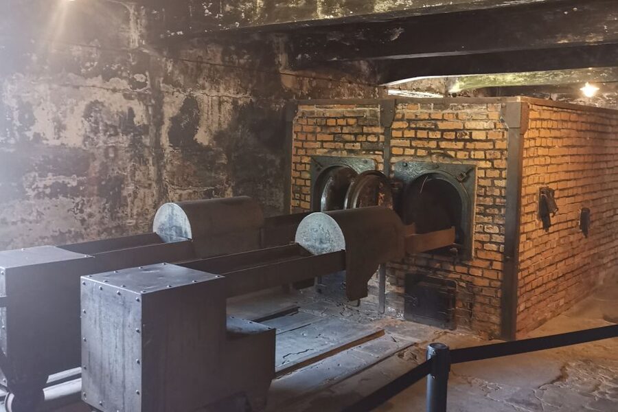 From Krakow: Auschwitz-Birkenau Camp Complex Guided Day Trip - Inside the prisoner blocks: the everyday items that turn history personal