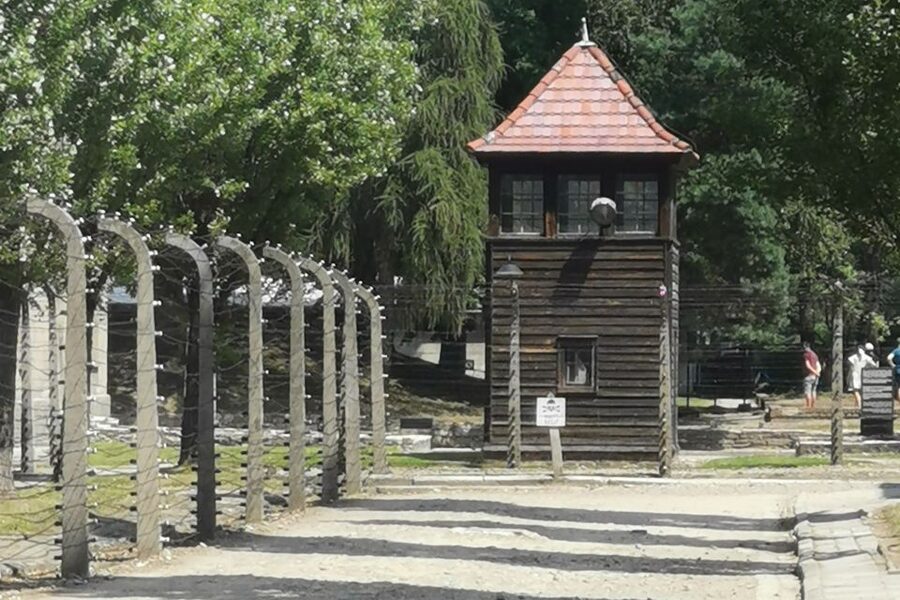 From Krakow: Auschwitz-Birkenau Camp Complex Guided Day Trip - Birkenau: gas chambers, crematoria, and a memorial walk that asks you to slow down