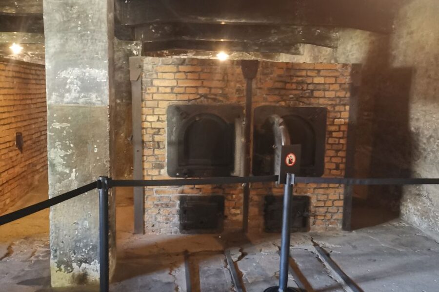 From Krakow: Auschwitz-Birkenau Camp Complex Guided Day Trip - Monowitz context: understanding day-to-day survival within the larger system