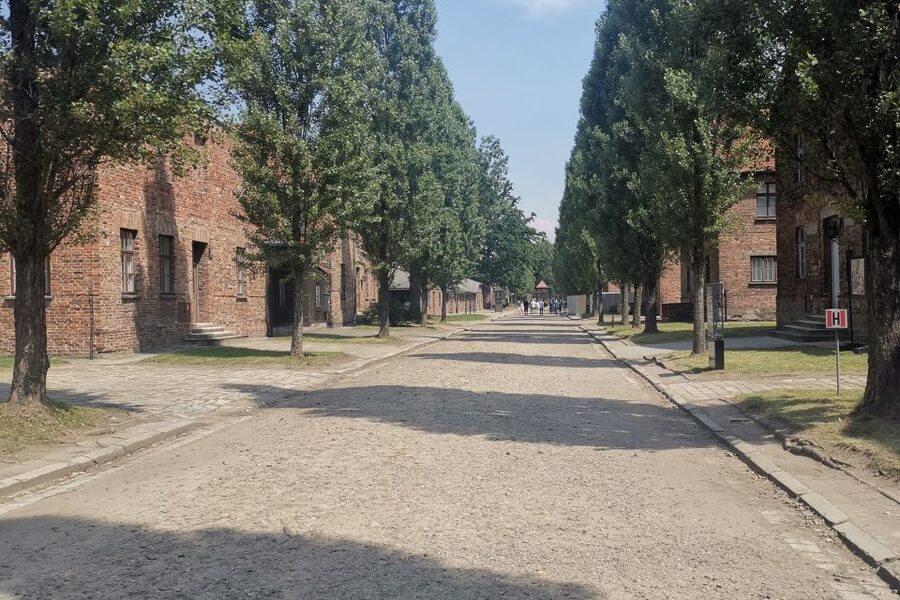 From Krakow: Auschwitz-Birkenau Camp Complex Guided Day Trip - What’s included (and what you’ll need to handle yourself)