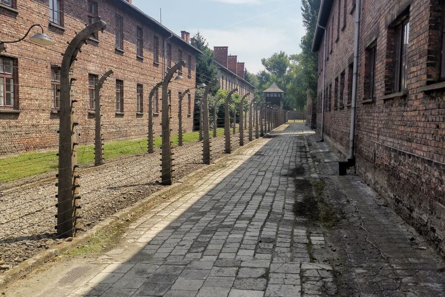 From Krakow: Auschwitz-Birkenau Camp Complex Guided Day Trip - Rules and pacing: how to have a smoother day at a site with no flexibility