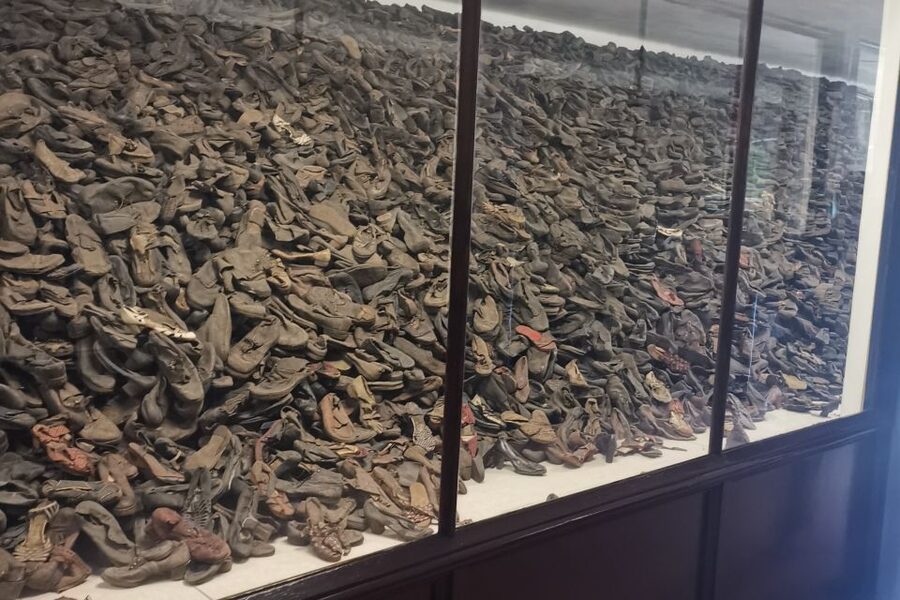 From Krakow: Auschwitz-Birkenau Camp Complex Guided Day Trip - Getting to the camps: early start, private transport, and clear pickup info