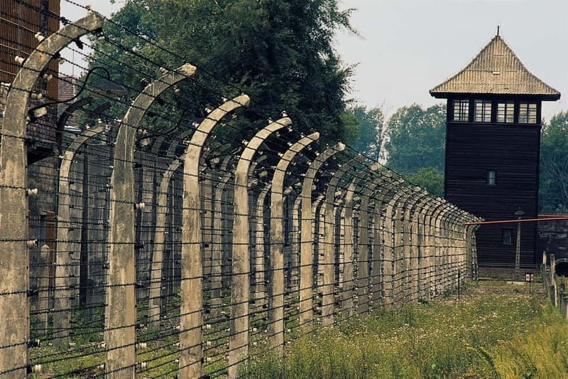 From Krakow: Auschwitz-Birkenau Day Tour with Pickup - Guided vs self-guided options: what changes on the ground
