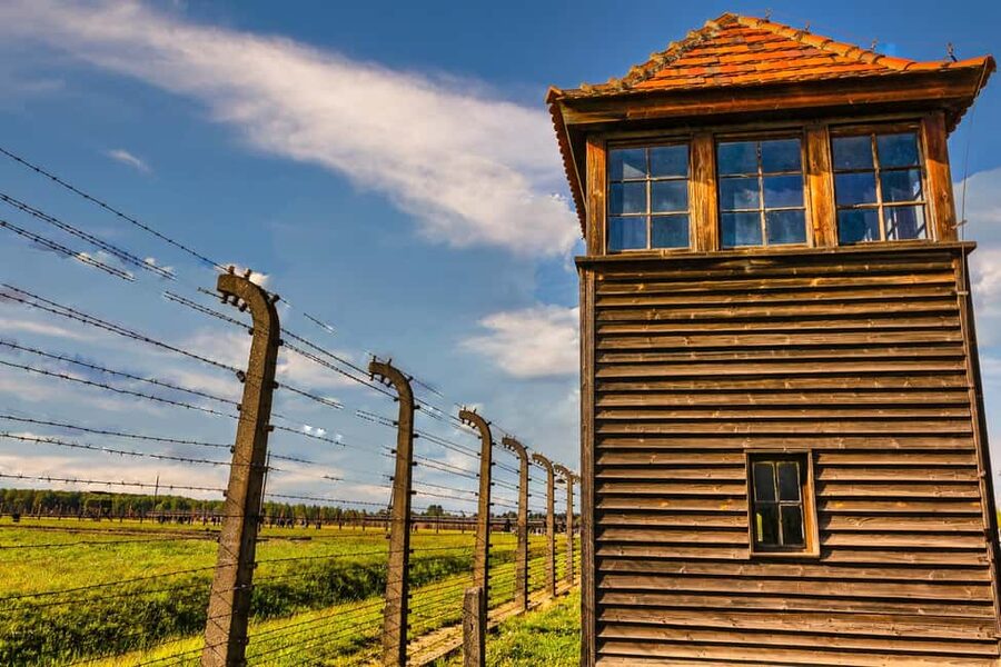 From Krakow: Auschwitz-Birkenau Full-Day Guided Tour - What the Guides Do Best (And Why It Matters Here)
