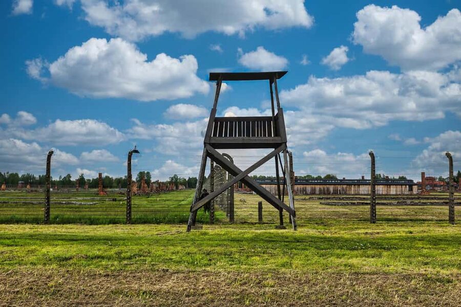From Krakow: Auschwitz-Birkenau Full-Day Guided Tour - Who This Tour Fits Best