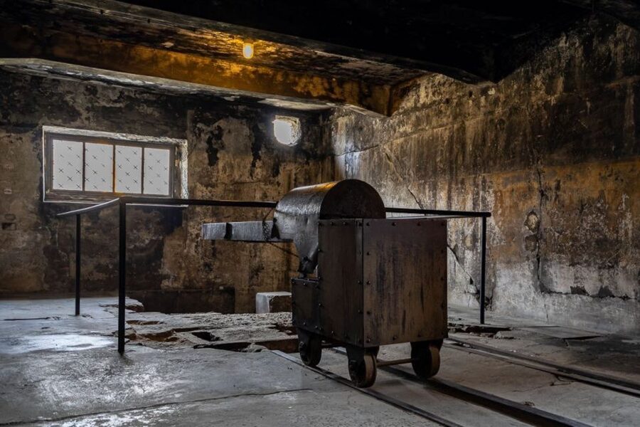 From Krakow: Auschwitz-Birkenau Full-Day Tour - Licensed guides, headsets, and how the story gets clearer fast
