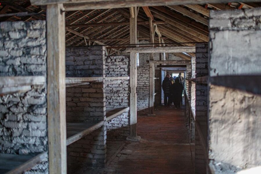 From Krakow: Auschwitz-Birkenau Guided Full-Day Tour - Skip-the-line access and how it changes your day