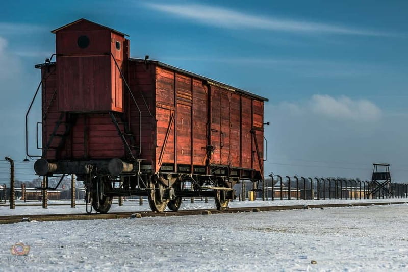 From Krakow: Auschwitz-Birkenau Guided Tour & Pickup - Getting Your Ticket: Why Passport Time Can Eat Your Morning