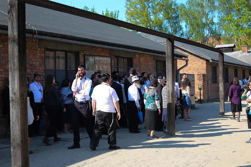 From Krakow: Auschwitz-Birkenau Guided Tour & Pickup Options - The Van Ride to Oświęcim: Comfort and Getting Your Head in the Right Place