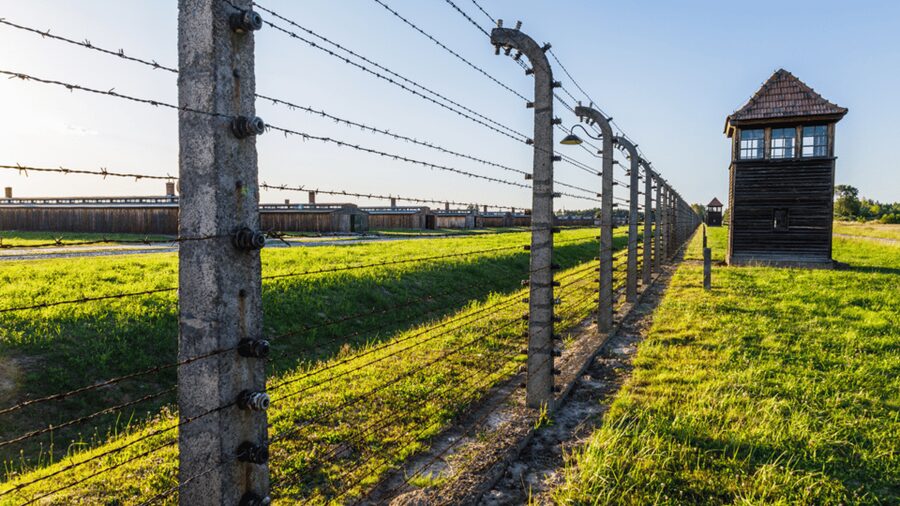 From Krakow: Auschwitz-Birkenau Guided Tour, Several Options - Quick Reset, Then Off to Birkenau