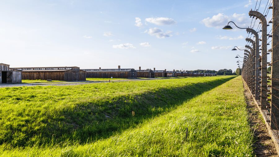 From Krakow: Auschwitz-Birkenau Guided Tour, Several Options - What This Tour Actually Feels Like: A Respectful Pace, Not a Wandering Day