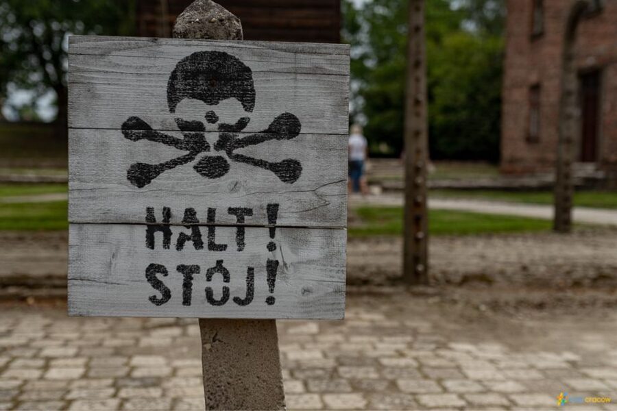 From Krakow: Auschwitz-Birkenau Guided Tour, Several Options - Bring These Basics: ID, Shoes, Food, and Weather