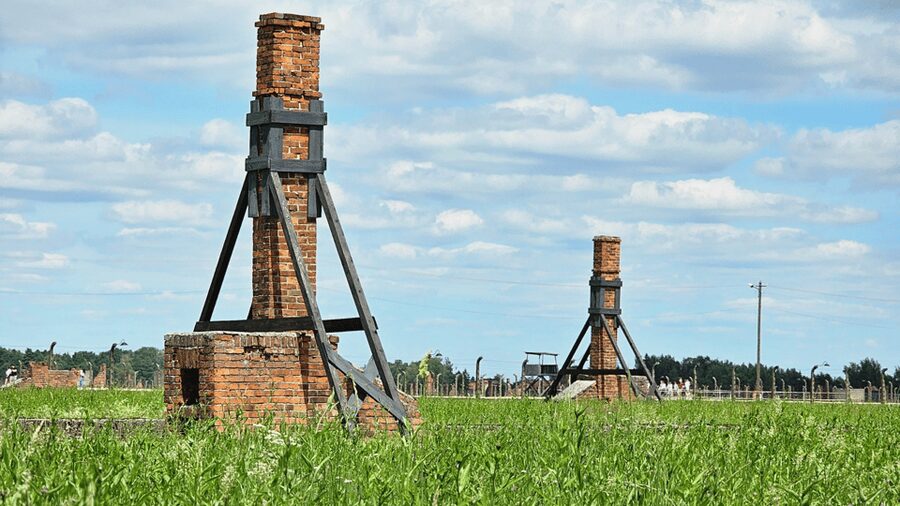 From Krakow: Auschwitz-Birkenau Guided Tour, Several Options - Your Guide Makes the Difference: Communication, Tone, and Clarity