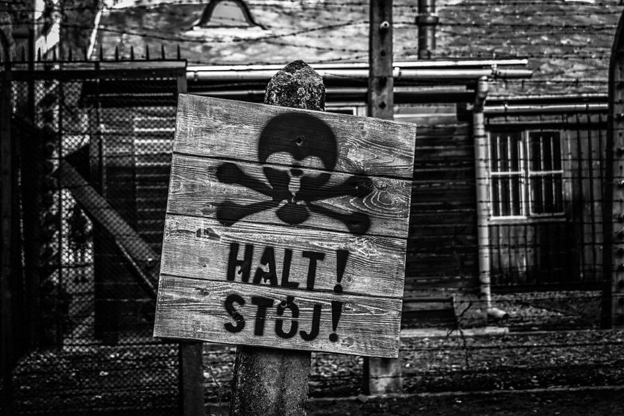 From Krakow: Auschwitz-Birkenau Guided Tour & Transport - What to bring: ID, shoes, and food for a long walking day