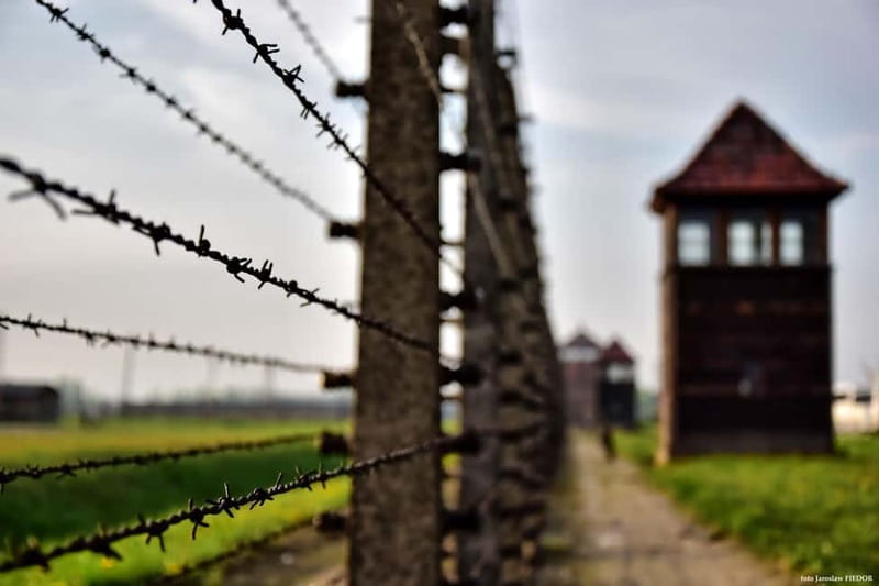 From Krakow: Auschwitz-Birkenau Guided Tour & Transportation - Language options: English and more, with a real-world caveat