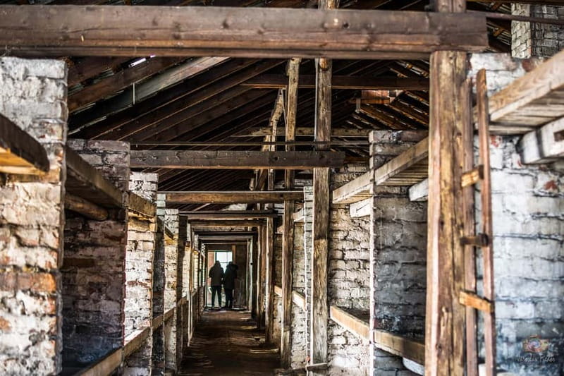 From Krakow: Auschwitz-Birkenau Guided Tour & Transportation - Getting the most from a long day without feeling overwhelmed