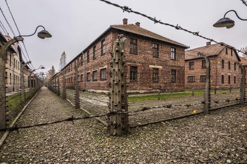 From Krakow: Auschwitz-Birkenau Guided Tour & Transportation - Getting to the right coach and setting expectations for the early start