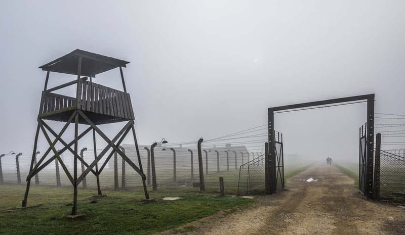 From Krakow: Auschwitz-Birkenau Guided Tour with Transport - Tickets, Lines, and Bag Rules: What Can Slow You Down